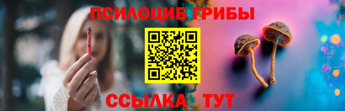 Псилоцибиновые грибы MAGIC MUSHROOMS Советск