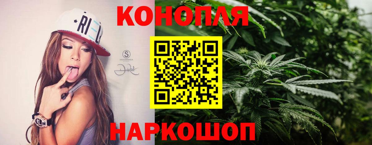Конопля марихуана Советск